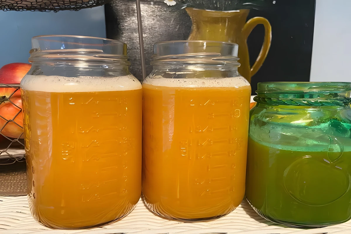 Receta de Jugo de Melón